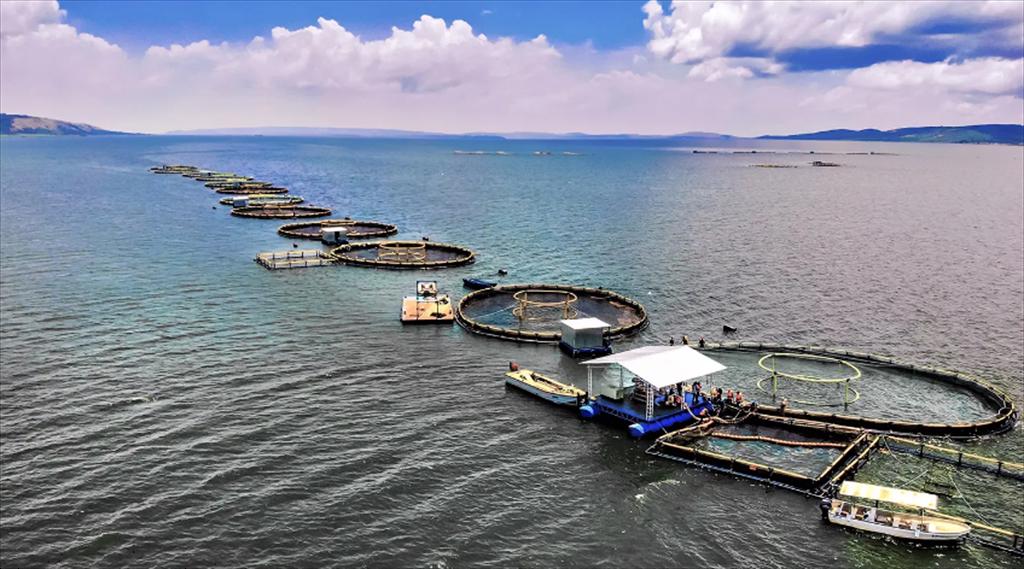 Vietnam aquaculture production experienced a steady 3.4% growth in July