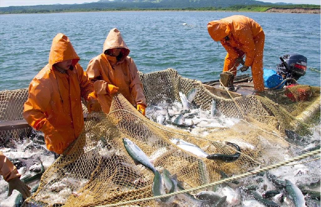 Nga đặt ra các quy định về thuế đánh bắt cá 