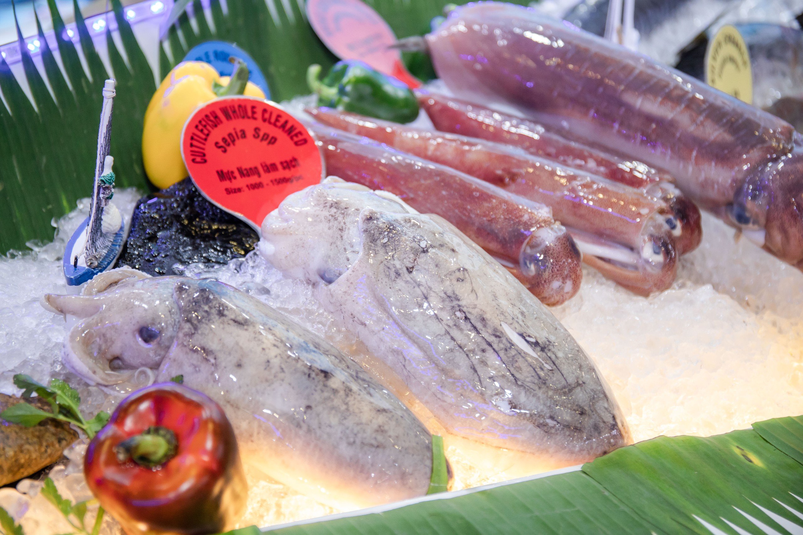 Hàn Quốc là động lực tăng trưởng của XK mực, bạch tuộc Việt Nam nửa cuối năm nay