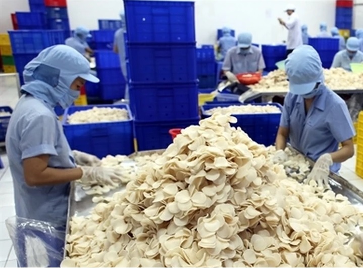 Sa Giang và Bích Chi ghi nhận kết quả kinh doanh khởi sắc trong quý II2024 