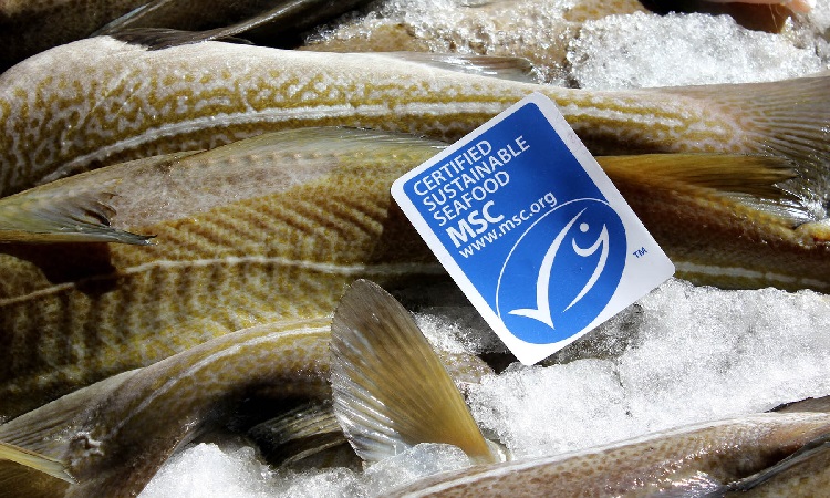 Hơn một nửa người tiêu dùng hải sản Anh nhận ra nhãn sinh thái MSC 