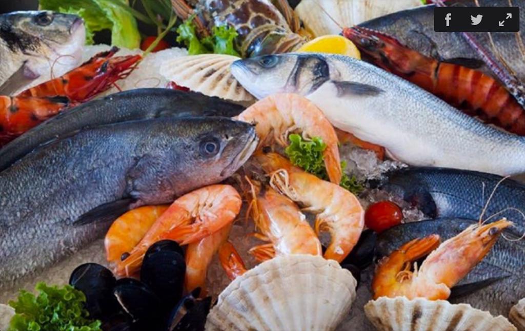 Hồng Kông cấm nhập khẩu sản phẩm hải sản từ 10 thành phố của Nhật Bản