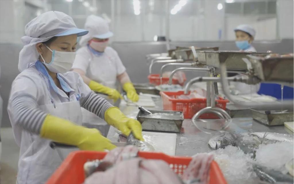 Chuẩn bị tốt kế hoạch làm việc với Đoàn thanh tra EU về kiểm soát dư lượng