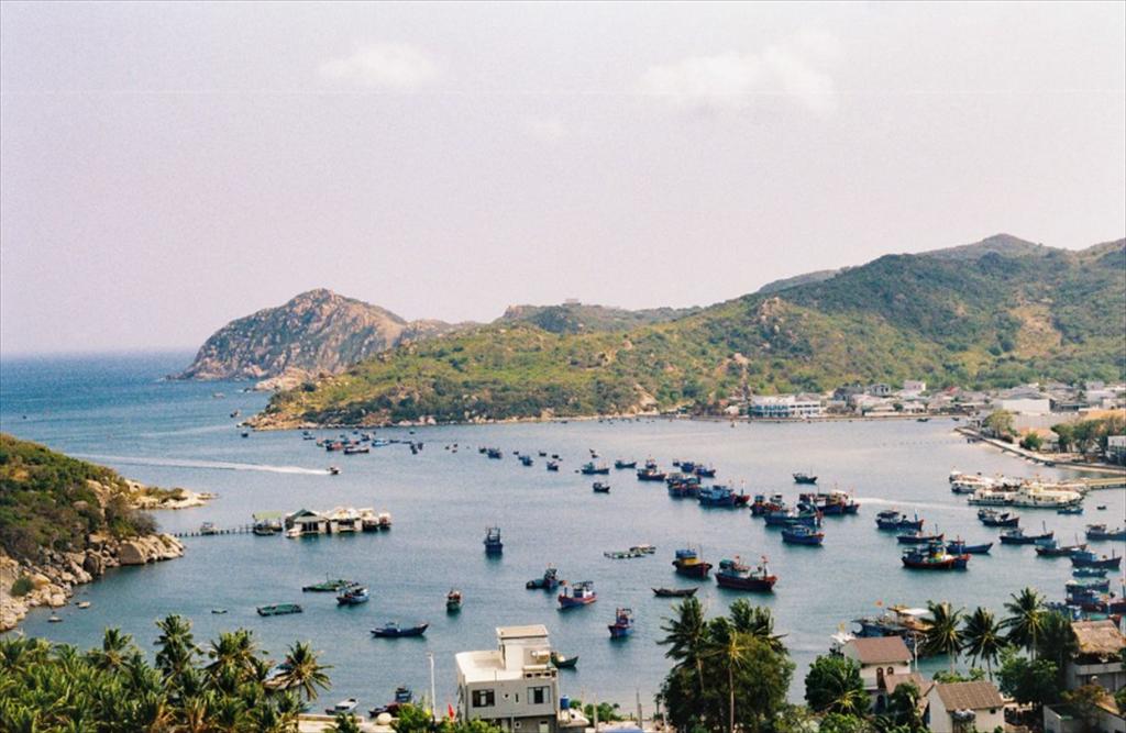 Bình Định Sản lượng thủy sản tháng 72024 tăng 574 tấn (tăng 2,2%) so cùng kỳ năm 2023