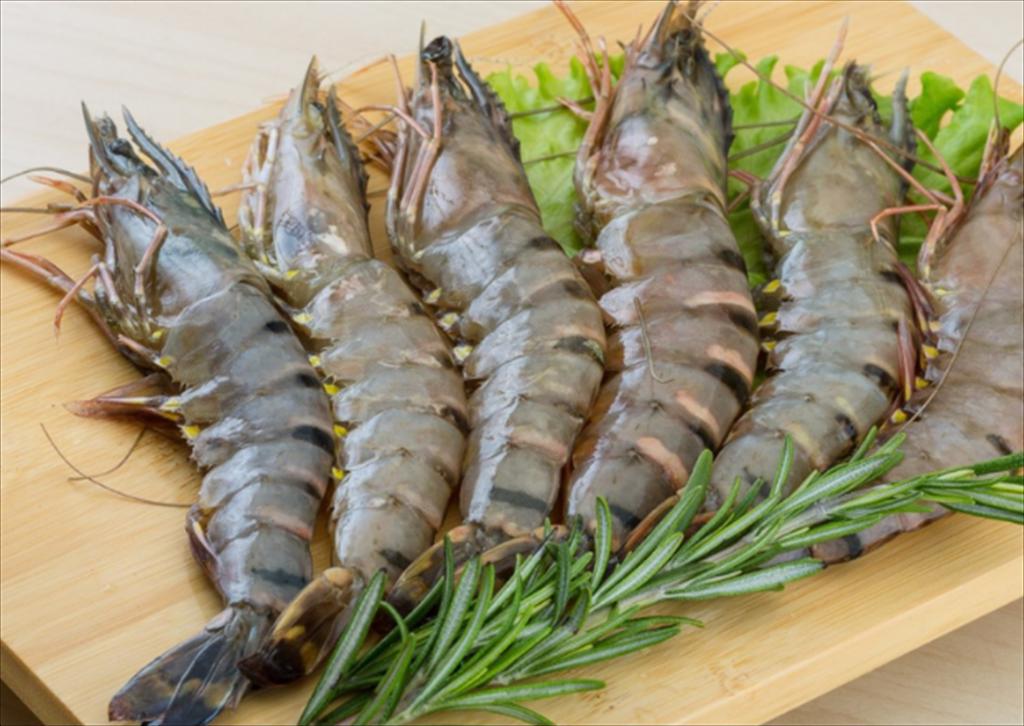 Nhập khẩu tôm sú đông lạnh của Hàn Quốc giảm trong nửa đầu năm 