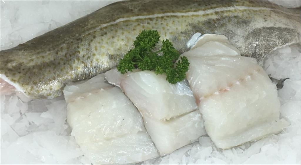 Xuất khẩu cá thịt trắng Na Uy giảm mạnh trong tháng 72024 