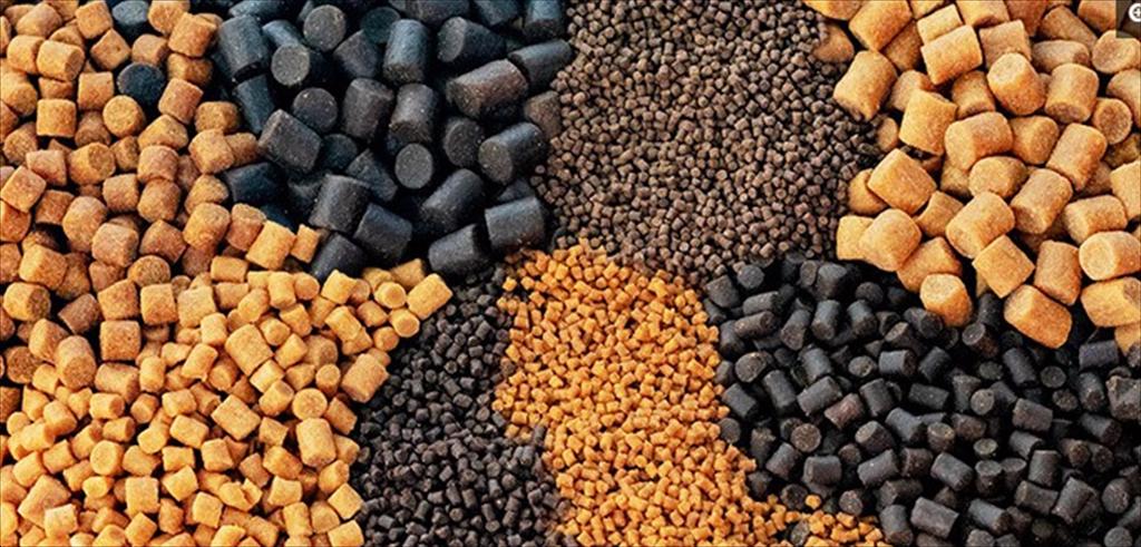 Tập đoàn thức ăn thủy sản lớn nhất Trung Quốc ghi nhận doanh thu tăng 30%