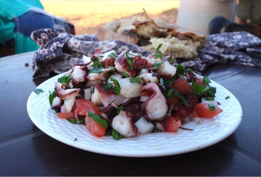 Giá bạch tuộc ở Morocco và Mauritania tăng, các nhà chế biến gặp khó 