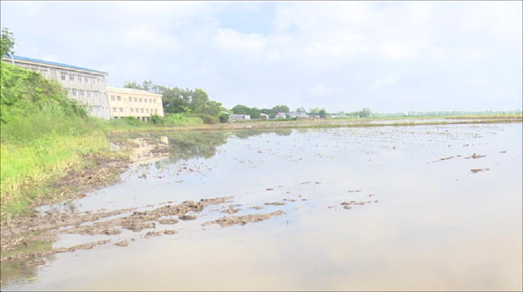 Triển khai mô hình trữ cá bảo vệ nguồn lợi thủy sản