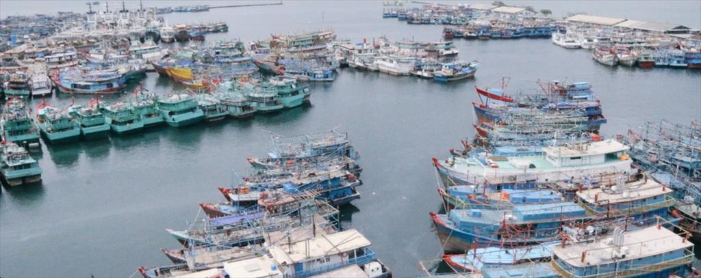  Ca Mau Province plans to build 13 fishing ports 