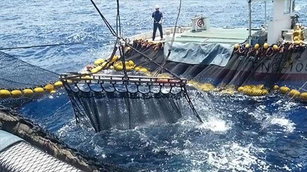 MSC Nhật Bản trao giải thưởng để đẩy mạnh thủy sản bền vững 