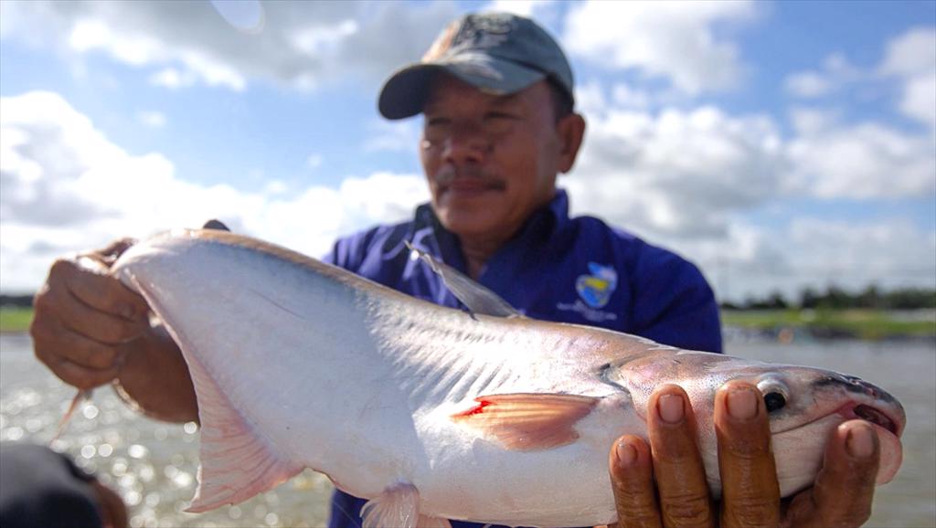 Thủy sản Vĩnh Hoàn (VHC) Dự báo sản lượng xuất khẩu nửa cuối năm tăng 23%