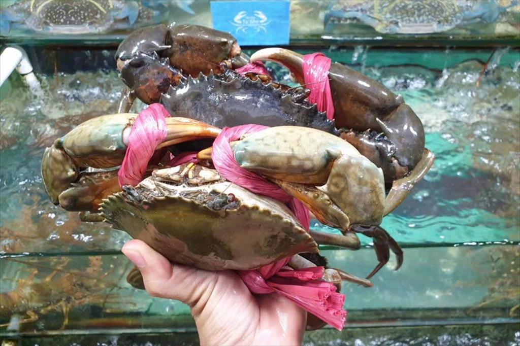 Nga XK cua sang Trung Quốc tăng 