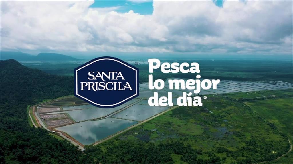 Santa Priscila tiếp tục là công ty xuất khẩu tôm lớn nhất Ecuador 