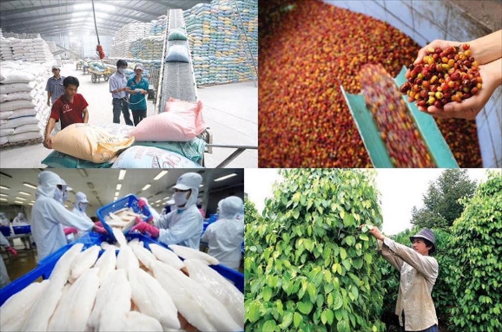 Bất cập thuế giá trị gia tăng đối với hàng nông lâm thuỷ sản chưa qua chế biến