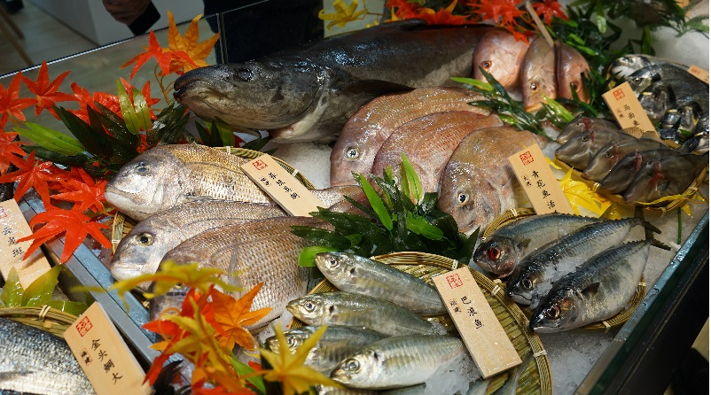 Trung Quốc tăng nhập khẩu hải sản từ Nam Mỹ và Châu Á sau lệnh cấm với Nhật Bản 