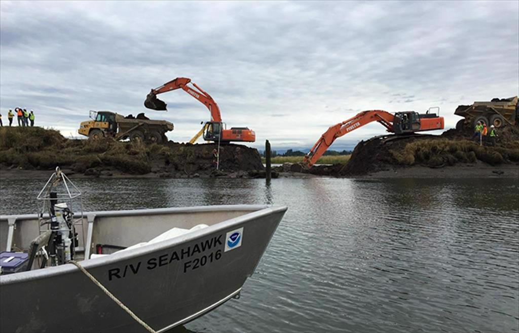 NOAA đề xuất chi 45 triệu USD để phục hồi môi trường sống ven biển 