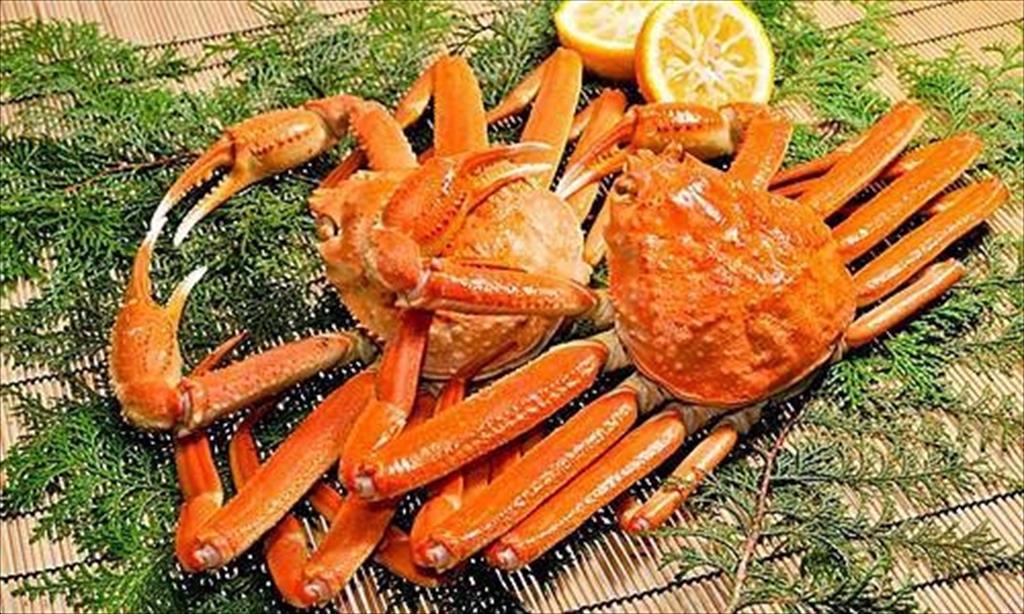 NK cua tuyết Canada vào Mỹ tăng 19% trong nửa đầu năm 