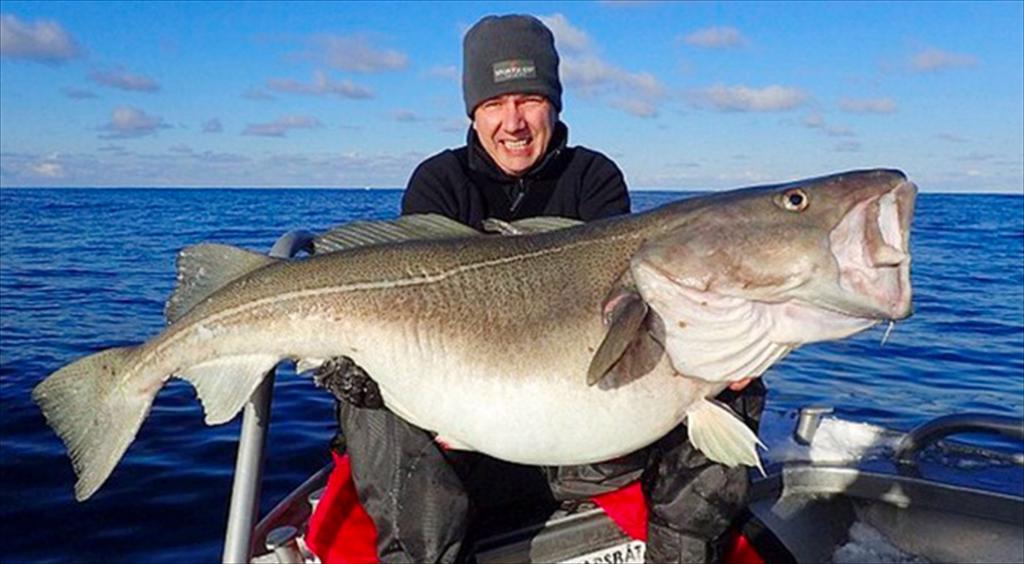 Người mua EU nên đảm bảo hợp đồng dài hạn vì giá cá cod tiếp tục tăng 