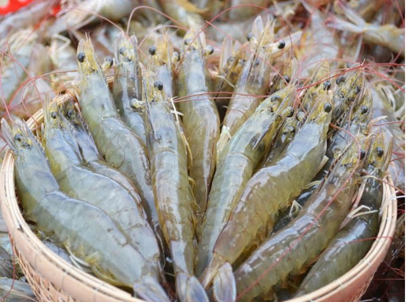 VASEPs Press Release to denounces baseless claims of labor abuse in shrimp industry