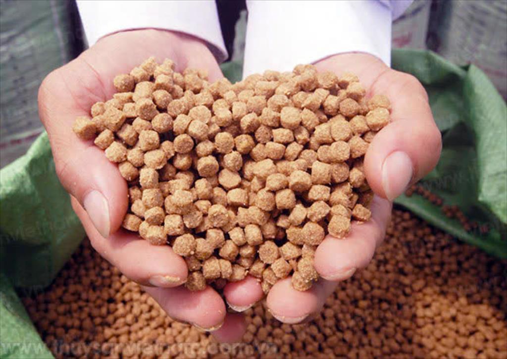 Giảm khí thải cacbon trong thức ăn thủy sản là ưu tiên hàng đầu của EU