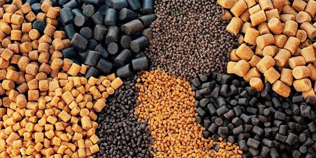 Tận dụng hương vị thức ăn để thúc đẩy tăng trưởng thủy sản nuôi