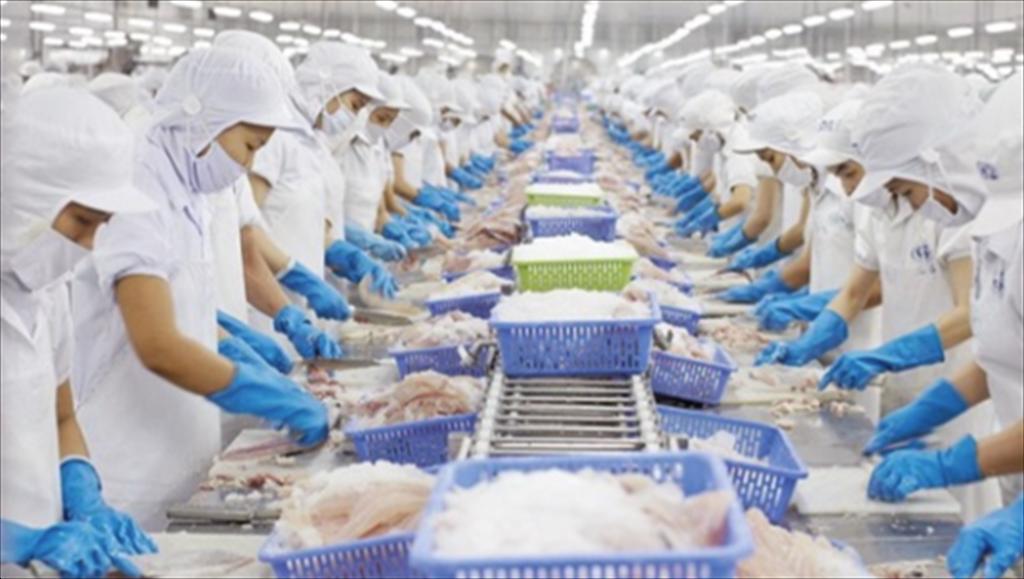 VHC - Các tín hiệu tích cực đã xuất hiện