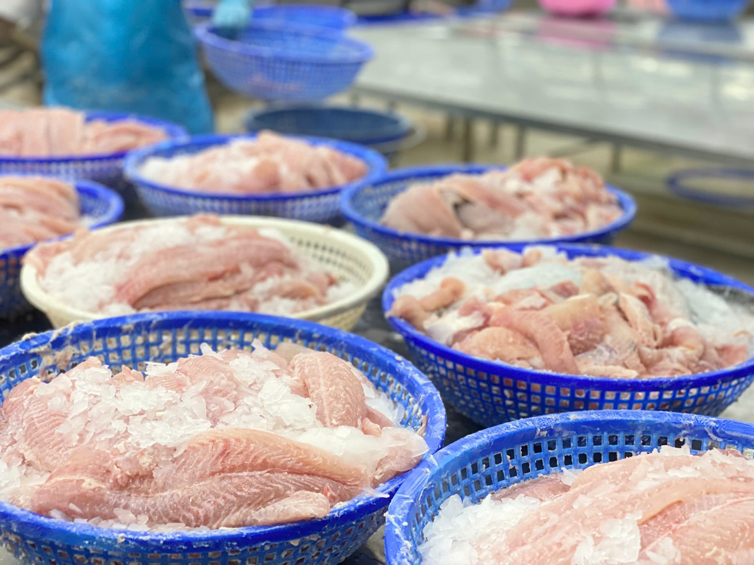 Xuất khẩu cá tra sang Trung Quốc và Mỹ tiếp tục phục hồi những tháng cuối năm