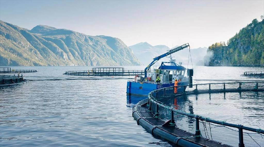 Na Uy tổ chức lại hoạt động giám sát nuôi trồng thủy sản 