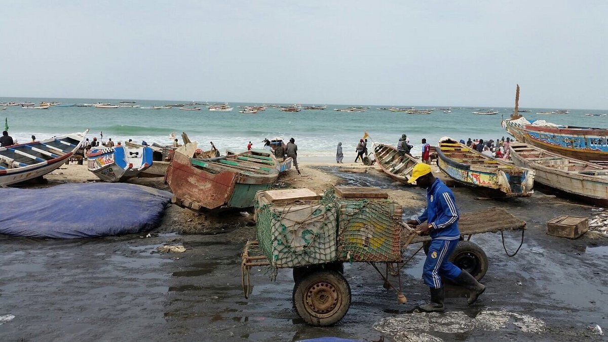 Mauritanie hành động để ngăn chặn tình trạng lạm thác