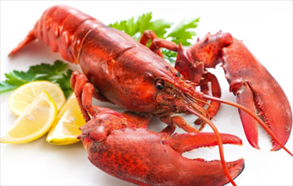 Thị trường tôm hùm đông lạnh Bắc Mỹ bùng nổ