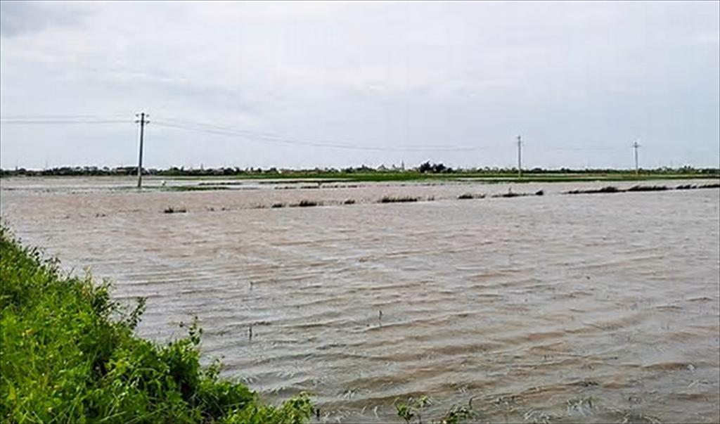 Thái Bình Người nuôi trồng thủy sản thiệt hại nặng nề sau bão