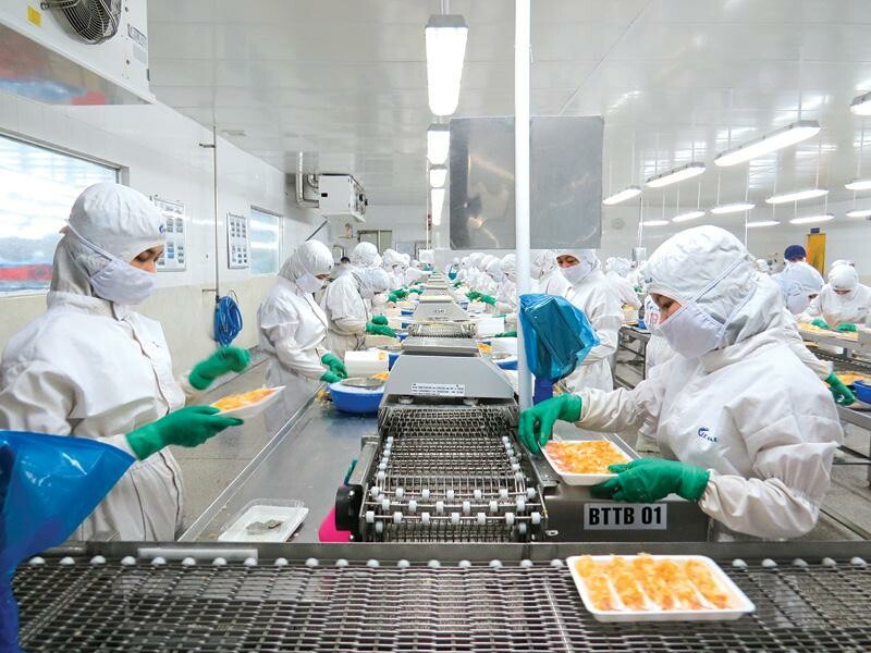 Hoàn tất thu hoạch tôm, Sao Ta thực hiện 75% kế hoạch doanh số