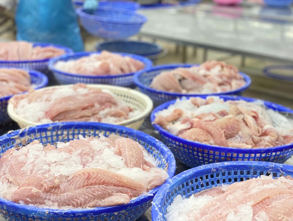 Pangasius exports to China and the US continue to recover in the last months of the year