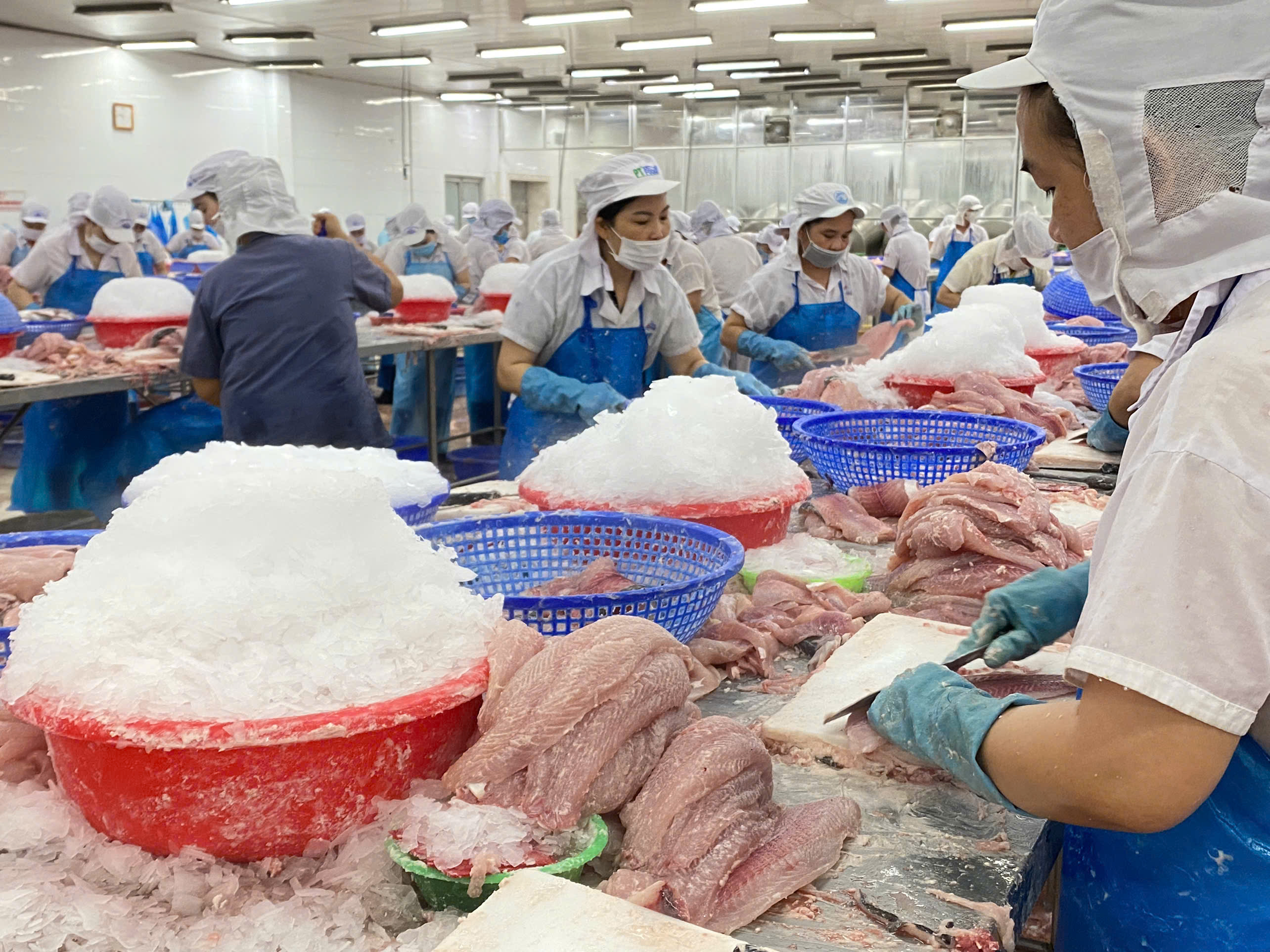 Xuất khẩu cá tra tháng 82024 Nhu cầu và giá xuất khẩu tiếp tục phục hồi 