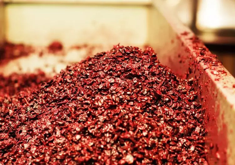 Phụ phẩm rượu vang Bí quyết nuôi cá chẽm sạch và bền vững