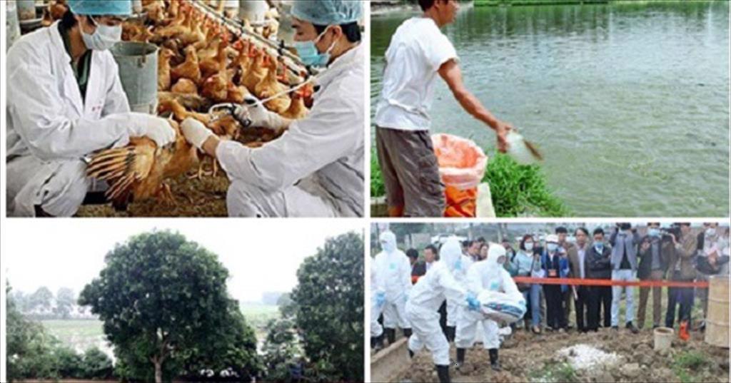 VASEP góp ý Dự thảo Nghị định về hỗ trợ phục hồi sản xuất nông nghiệp sau thiên tai, dịch bệnh