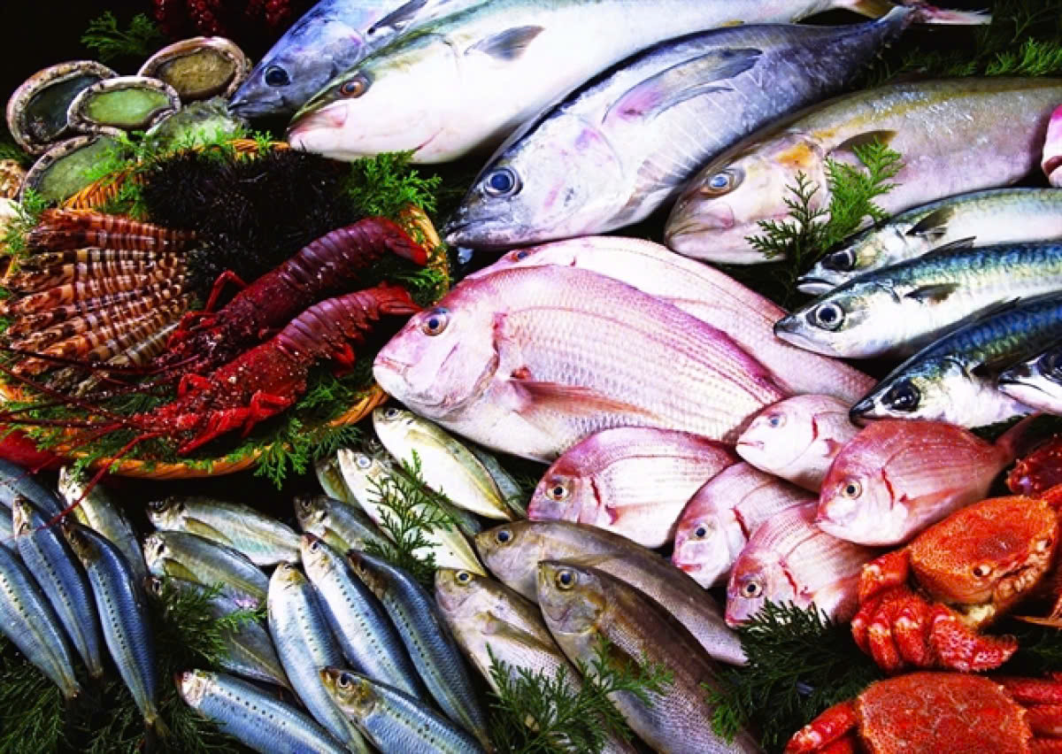 Infographic Xuất khẩu Thủy sản của Việt Nam 8 tháng đầu năm 2024