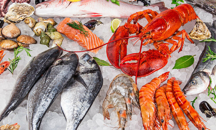 Infographic Xuất khẩu Hải sản của Việt Nam 8 tháng đầu năm 2024