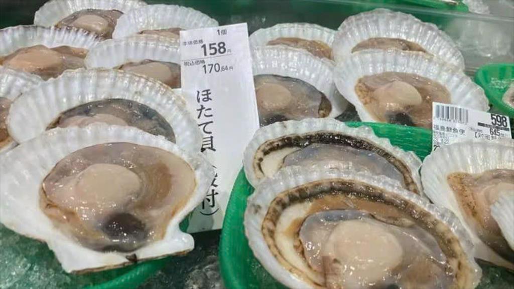 Nhật Bản tiếp tục đẩy mạnh xuất khẩu sò điệp sang Việt Nam và Thái Lan 