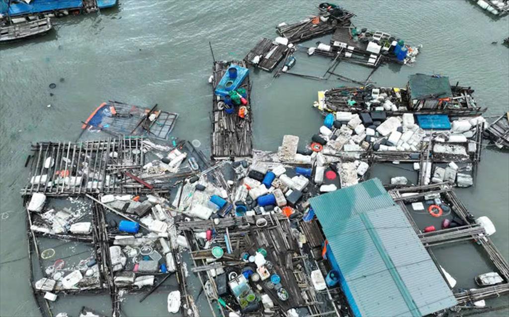 Thủ tướng Nâng quy mô tín dụng ưu đãi với lâm, thủy sản lên 60.000 tỉ đồng