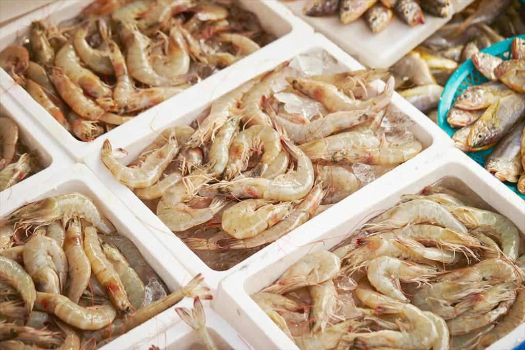 Thuế của Hoa Kỳ có thể làm giảm khối lượng thương mại tôm của Ecuador