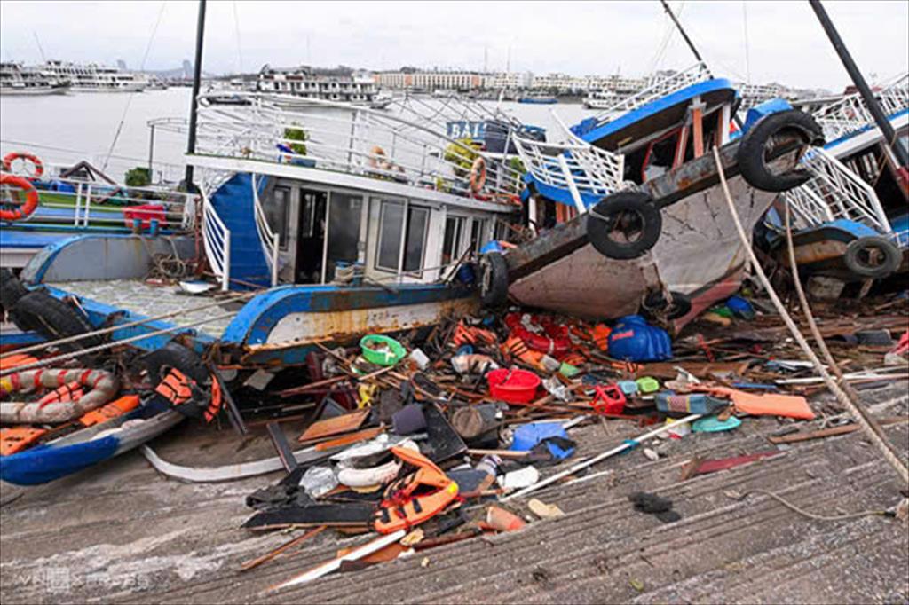 Ngành thủy sản miền Bắc bị tàn phá nặng nề do bão số 3