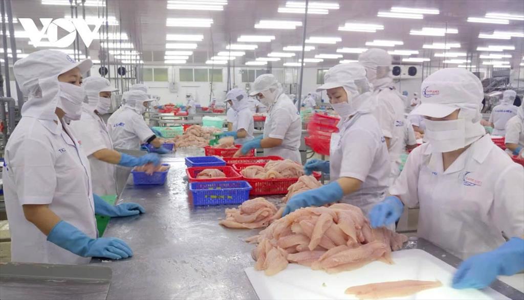 Xuất khẩu thủy sản của Cần Thơ đạt hơn 387 triệu USD