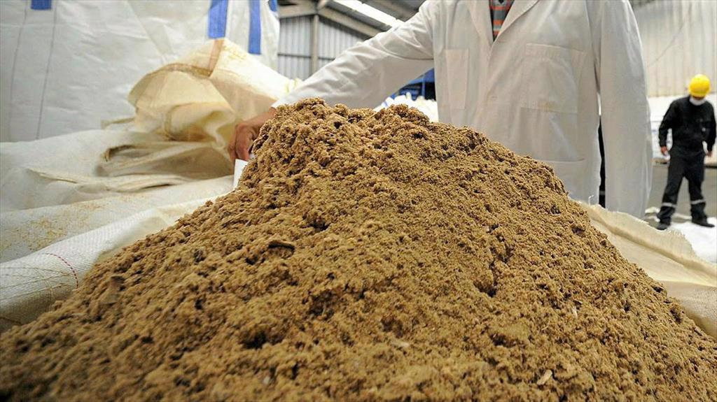 Giá bột cá ở Trung Quốc giảm mạnh do nguồn cung từ Peru tăng mạnh
