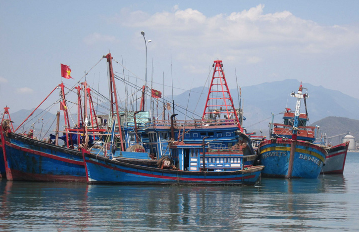 Tra Vinh More fishing vessels resume operations as costs decline