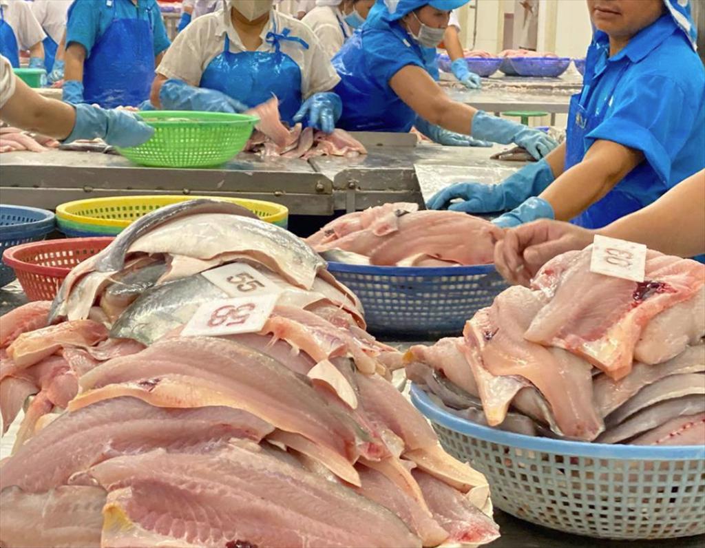 Preliminary results (POR20) of the anti-dumping tax on pangasius fillets to the US Many exporting companies are exempt from tax
