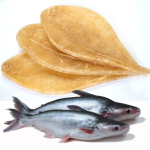 Trung Quốc tăng NK bong bóng cá tra khô Việt Nam để bù đắp thiếu hụt từ Mexico