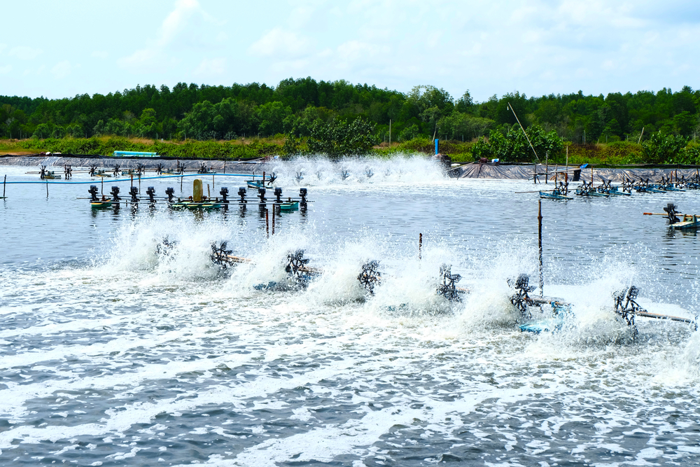 Thời của thất thường 