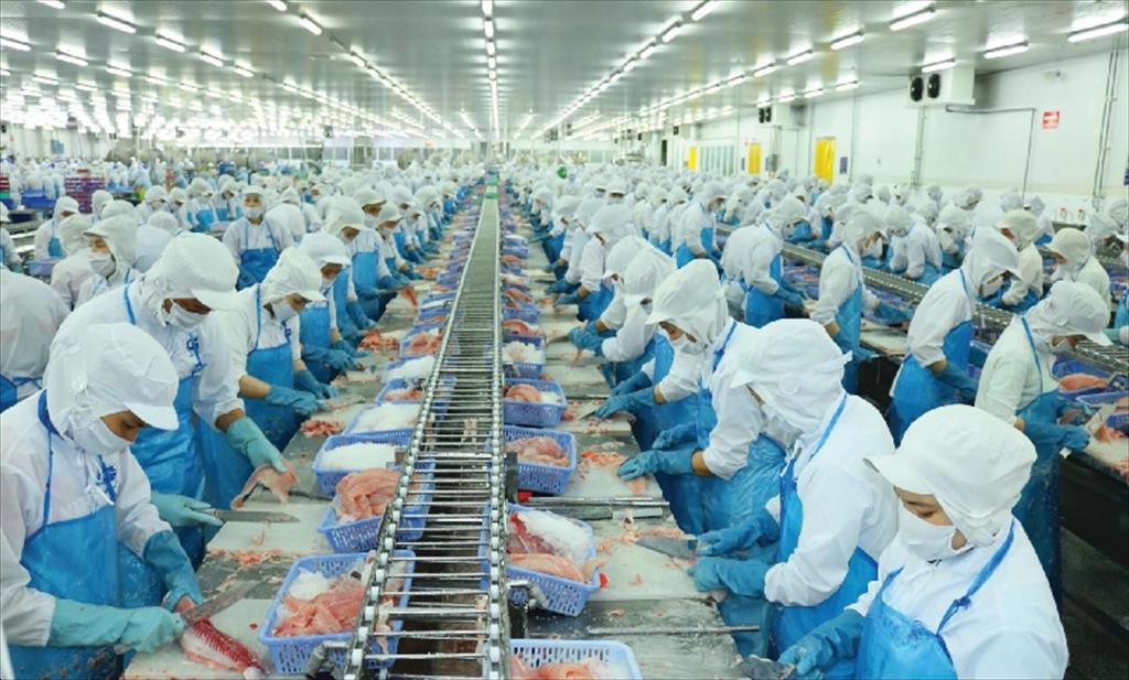 Vĩnh Hoàn kỳ vọng vào các mảng kinh doanh mới trong hành trình xây dựng công ty 1 tỷ USD 